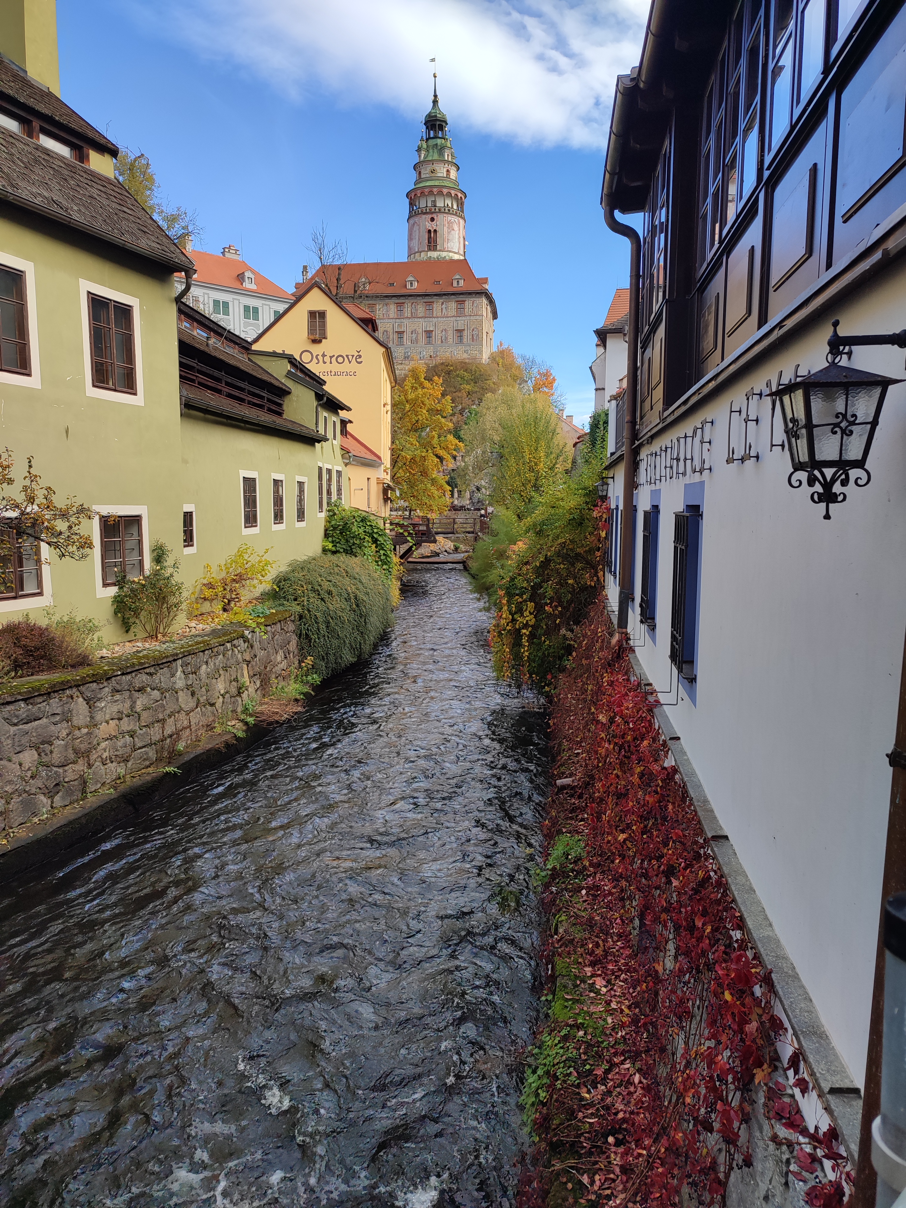 IMG 20231101 111936.jpg