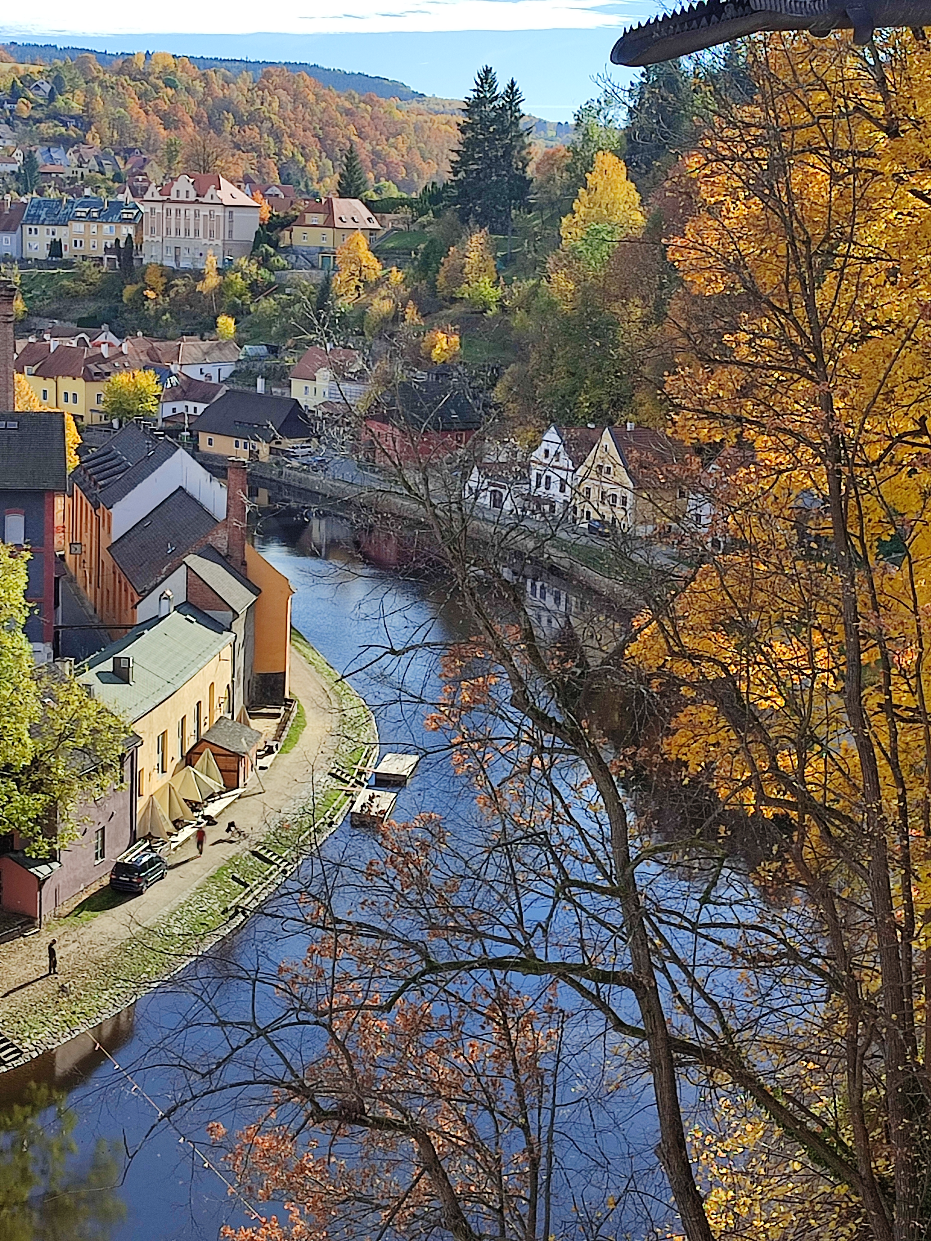 IMG 20231101 130421.jpg